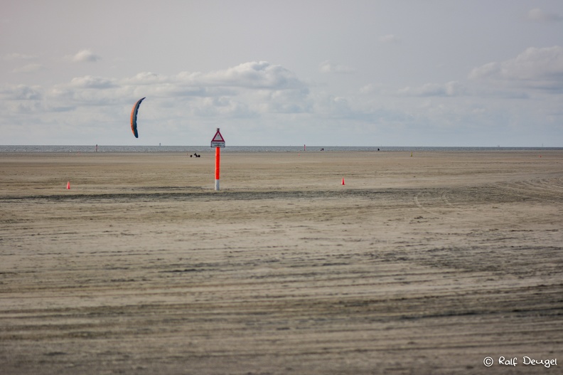 D71_4426.jpg