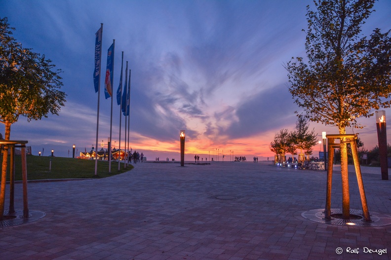 D71_4590.jpg