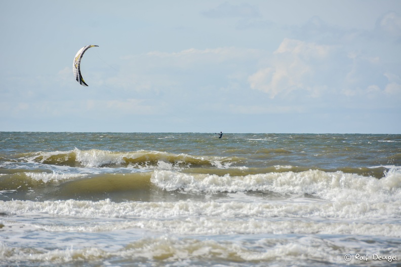 D71_4880.jpg
