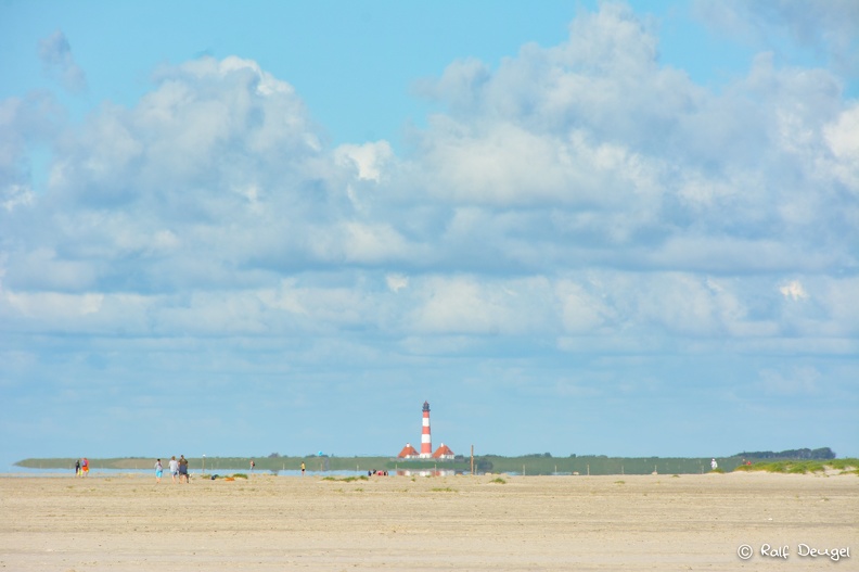 D71_4906.jpg