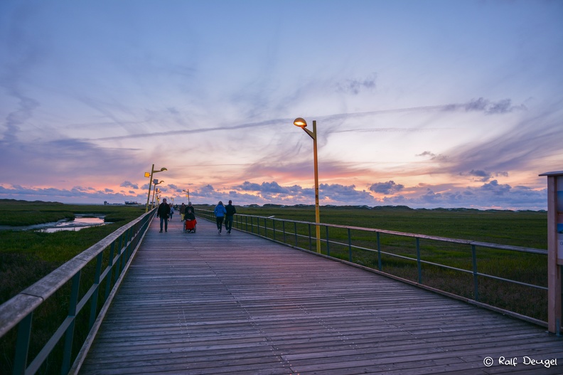 D71_4955.jpg