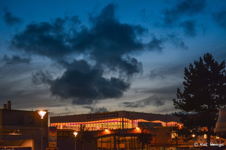 D71_4964.jpg