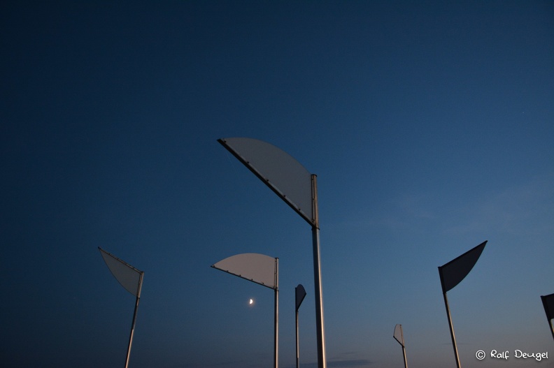 D71_5098.jpg