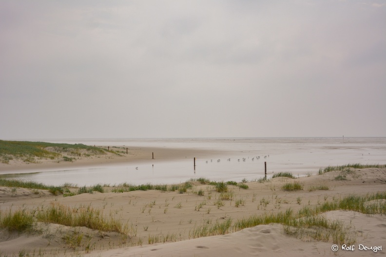 D71_5145.jpg