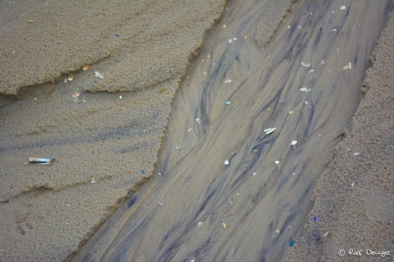 D71_5152.jpg