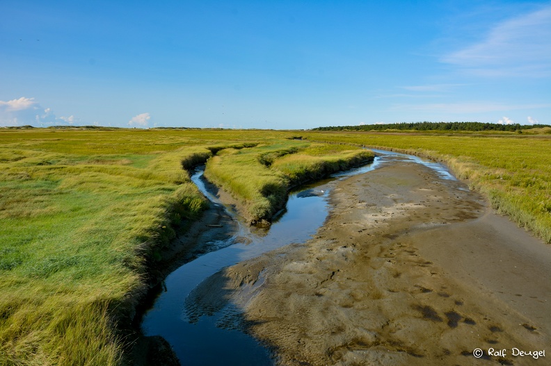 D71_5511.jpg