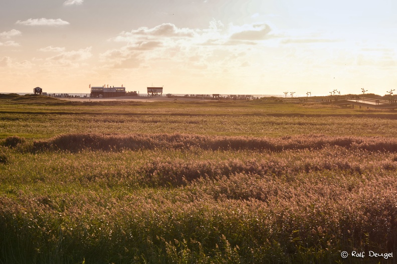 D71_5687.jpg
