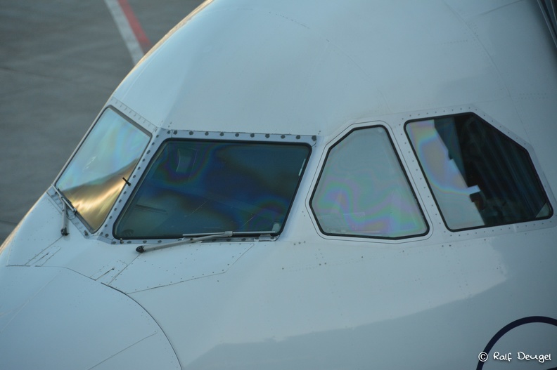 D71_5496.jpg