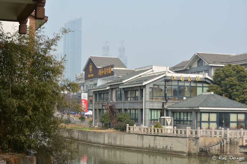 D71_5592.jpg