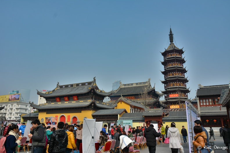 D71_5601.jpg