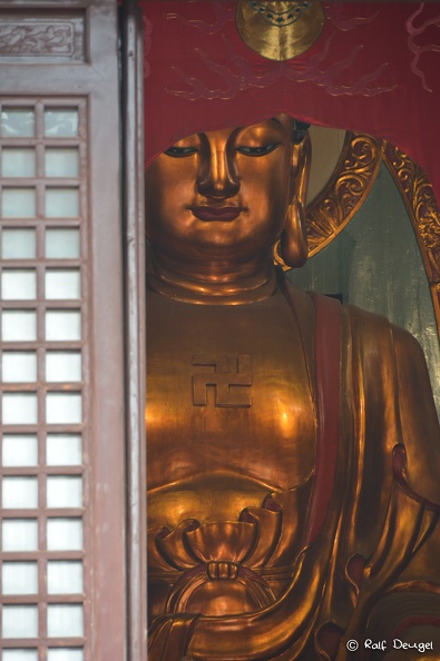D71_5610.jpg