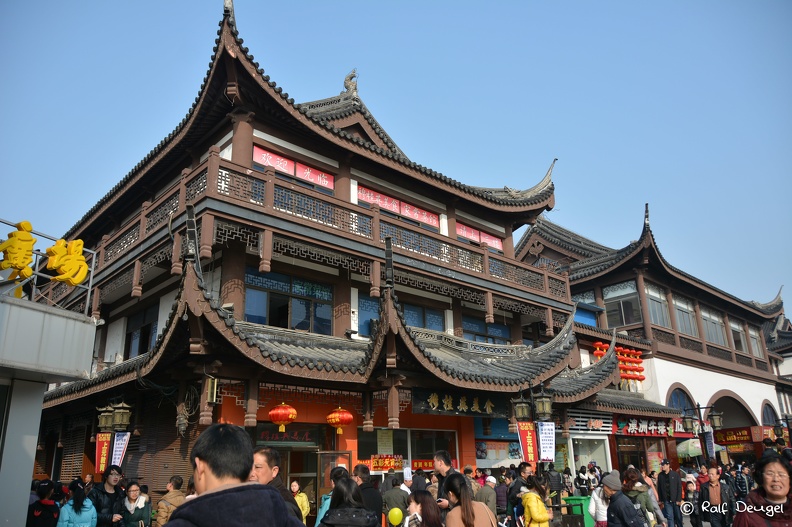 D71_5627.jpg