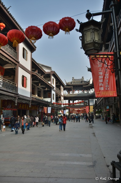 D71_5631.jpg