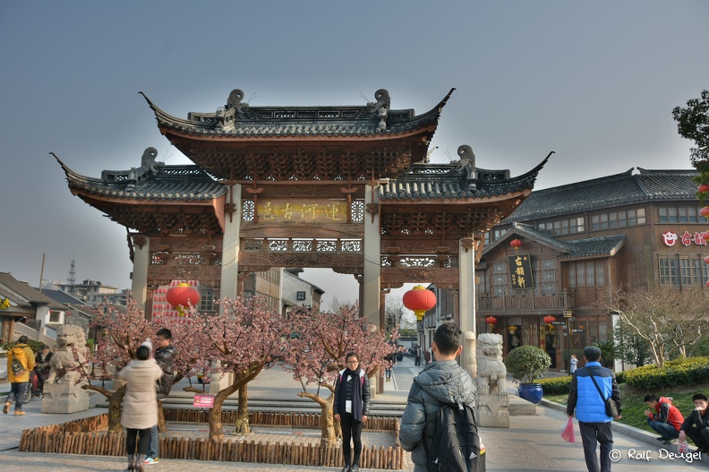 D71_5639.jpg