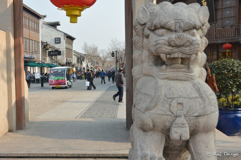 D71_5641.jpg