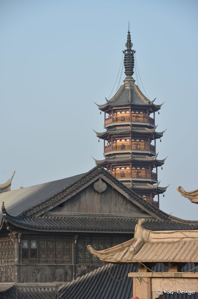 D71_5688.jpg