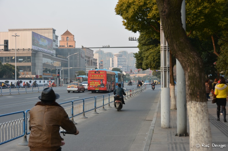 D71_5716.jpg