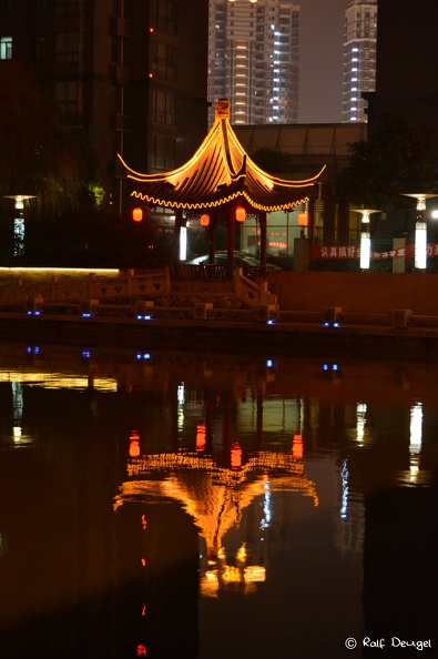 D71_6133.jpg