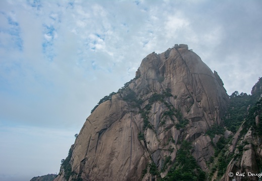 D71 5853