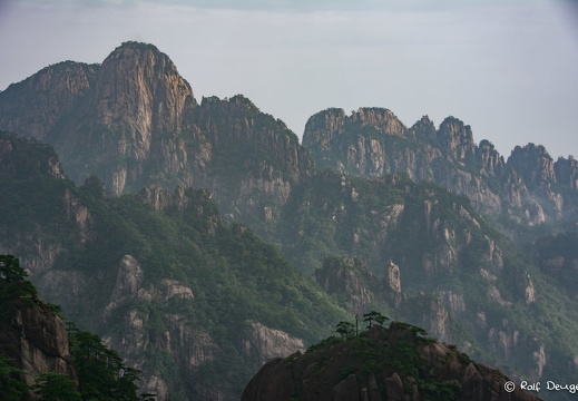D71 5901