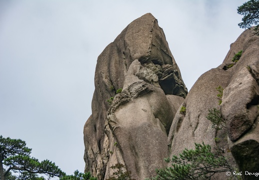 D71 5928