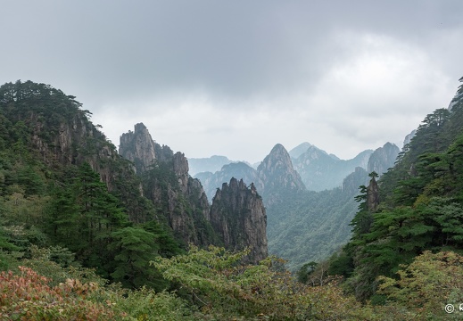 D71 5976-Pano