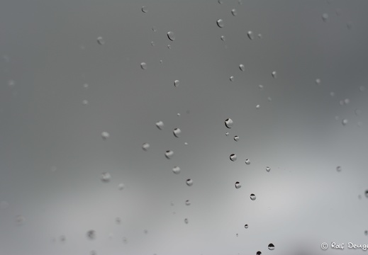  DSC0976