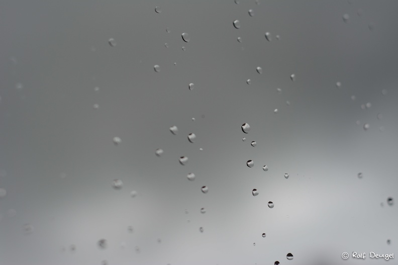 _DSC0976.jpg