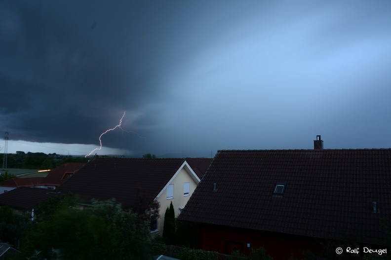 D71_1686.jpg