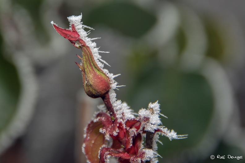 D71_2843.jpg