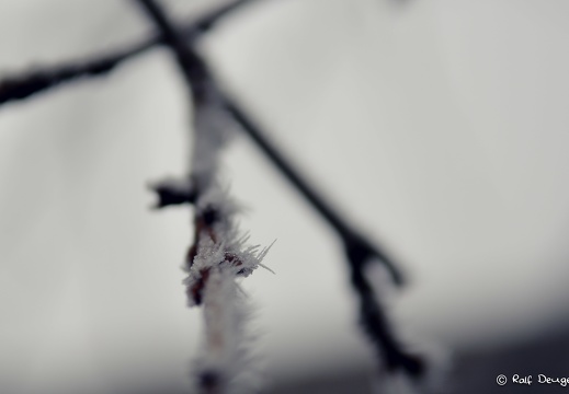 D71 2871