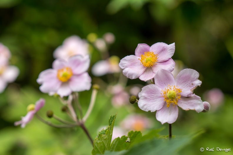 D71_3224.jpg