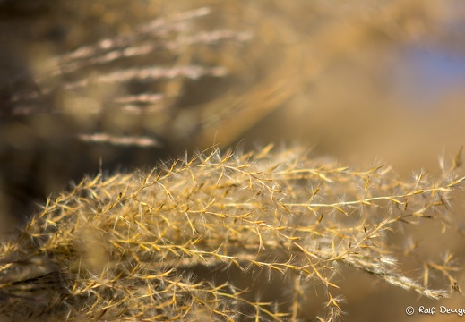 D71 3518