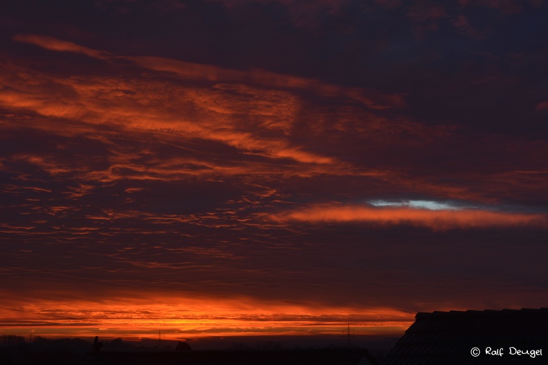 D71_8910.jpg
