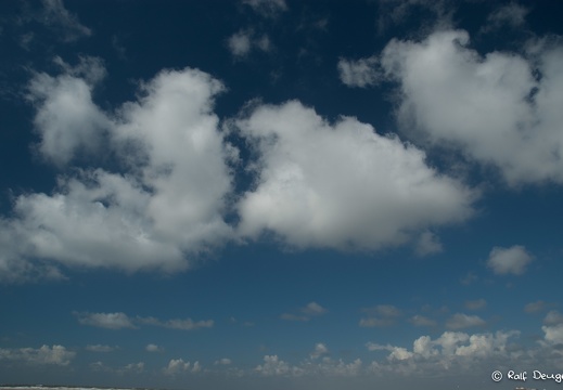 DSC 1415 32605