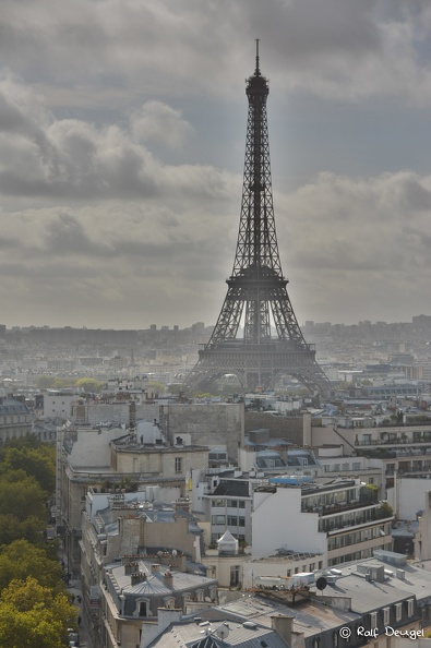 D71_4131.jpg