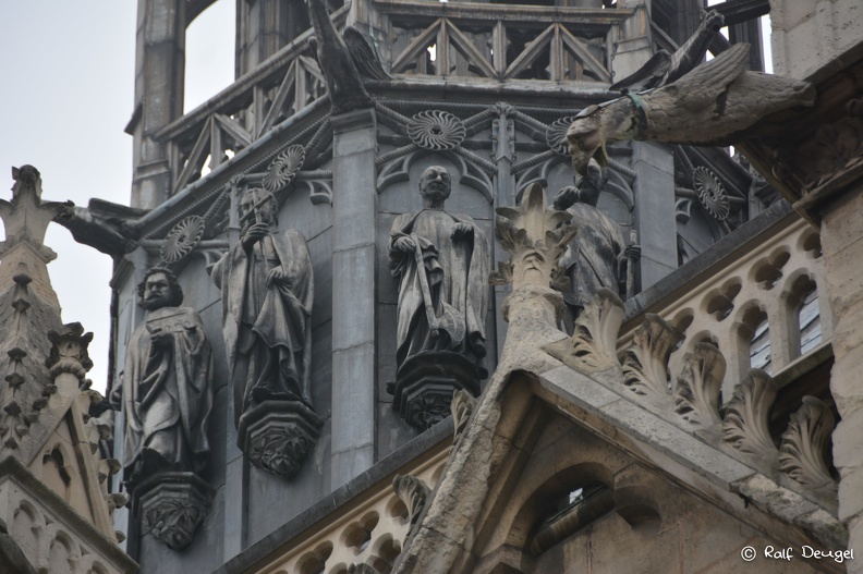 D71_4430.jpg