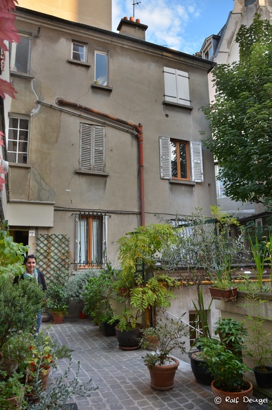 D71_4541.jpg