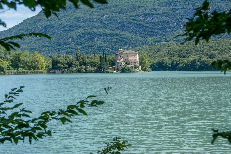 D71_7890.jpg