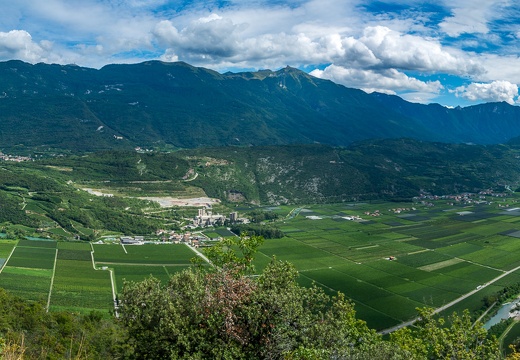 D71 7932-Pano