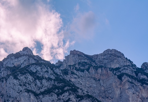 D71 8008