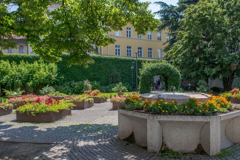 D71_8052.jpg