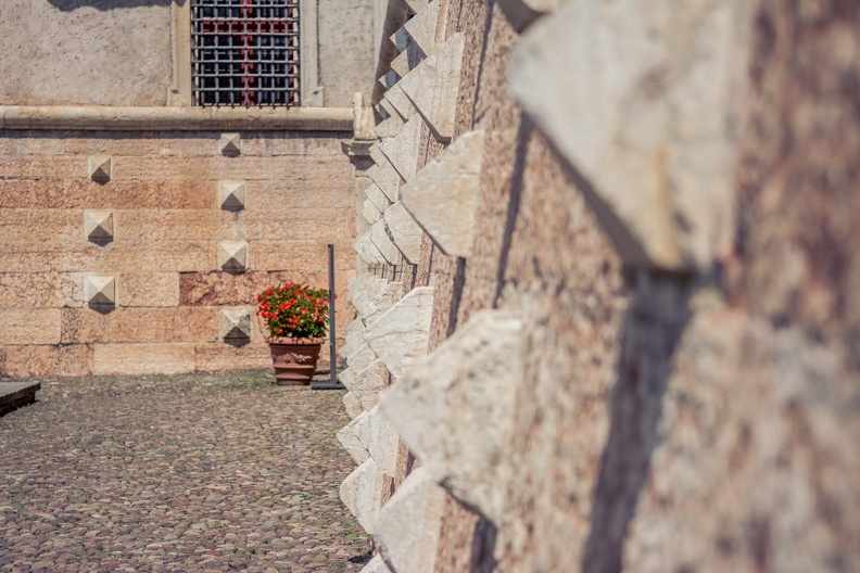 D71_8064.jpg