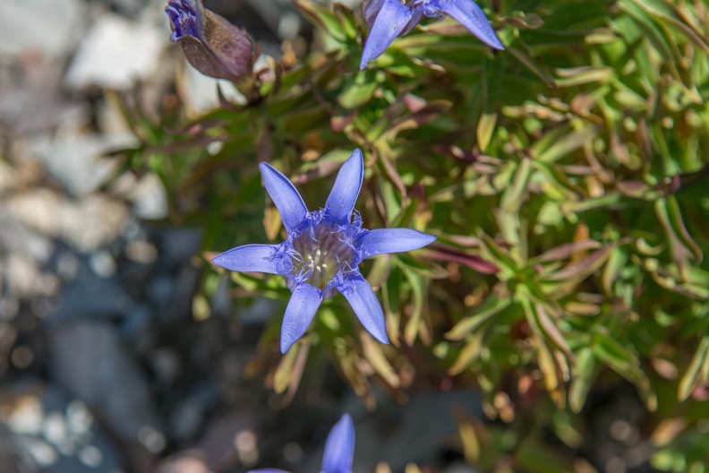 D71_8141.jpg