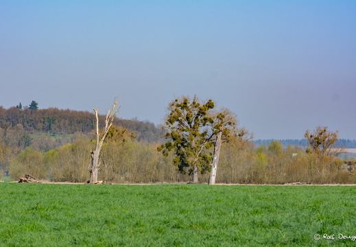D71 1237